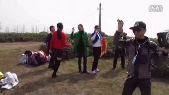 绿草在线观看,踏青赏绿，畅享自然之美  第2张